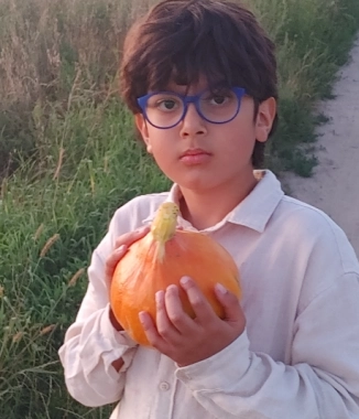 Amir M