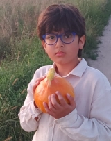 Amir zdjęcie 1