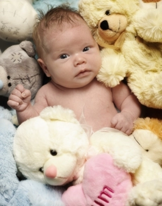 APOLONIA APOLONIA zdjęcie 1