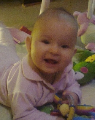 xenia xenia zdjęcie 2